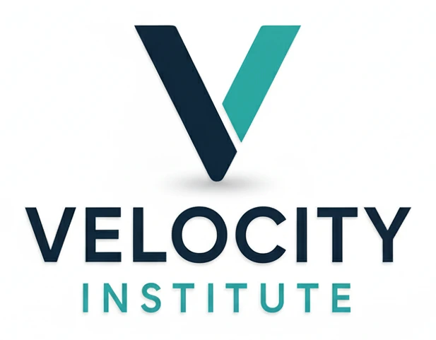Velocity Institute logo